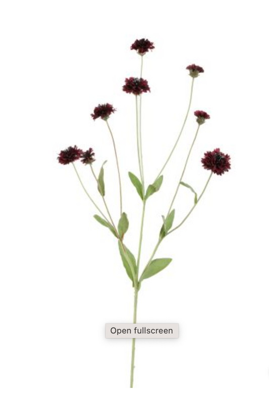 CORNFLOWER 90CM BORDEAUX