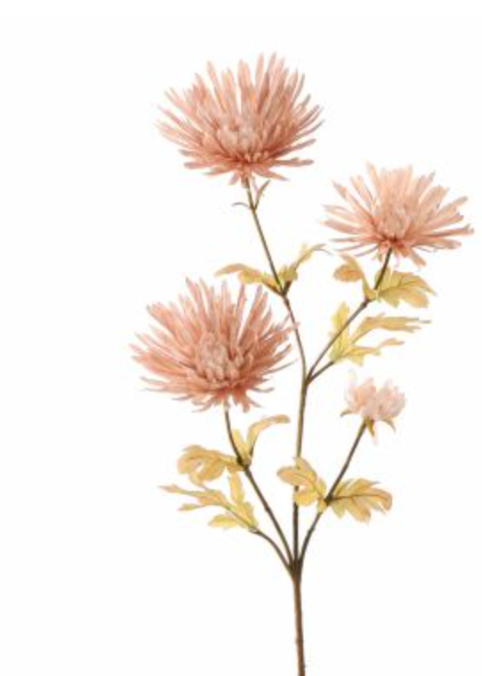 SPIN GERBERA 65CM BEIGE