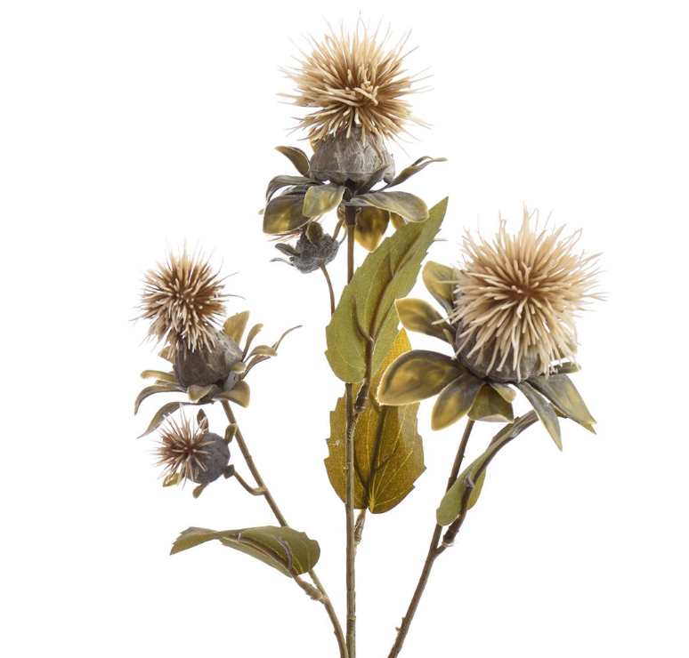 THISTLE SPRAY X3 60CM VANILLE