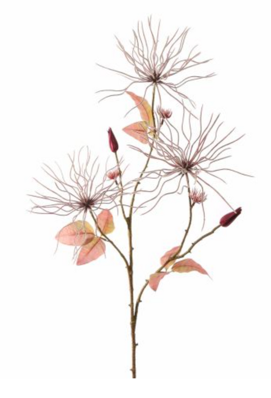 WILDE CLEMATIS 75CM BURGUNDY