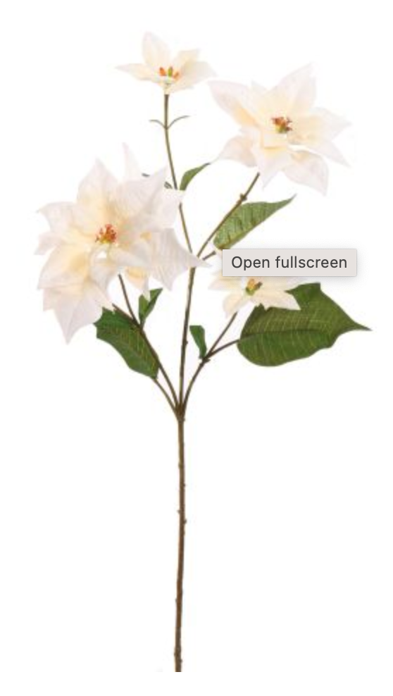 POINSETTIA SPRAY 65CM CREAM