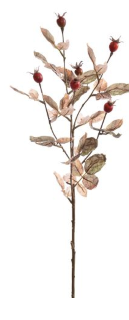 ROSEHIPS SPRAY X5 85CM DRY GREEN