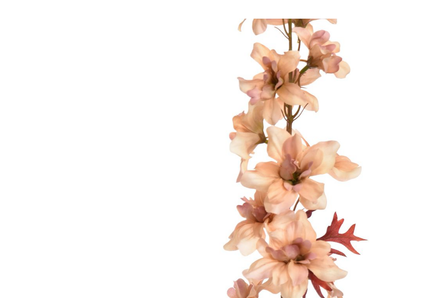 DELPHINIUM 95CM PEACH