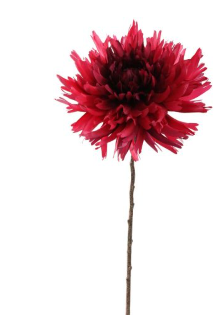 SPIDER MUM 56CM BEAUTY