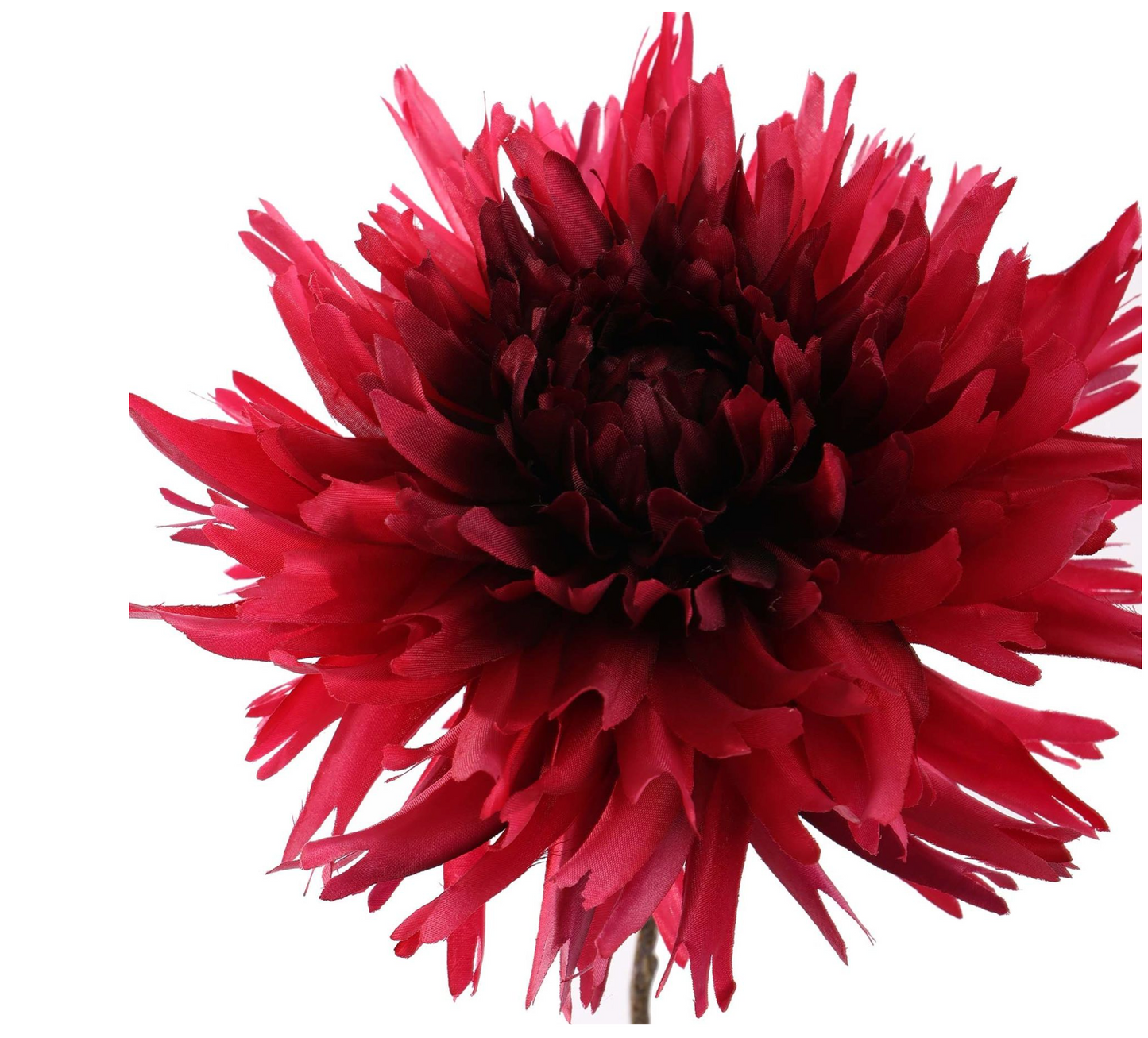 SPIDER MUM 56CM BEAUTY