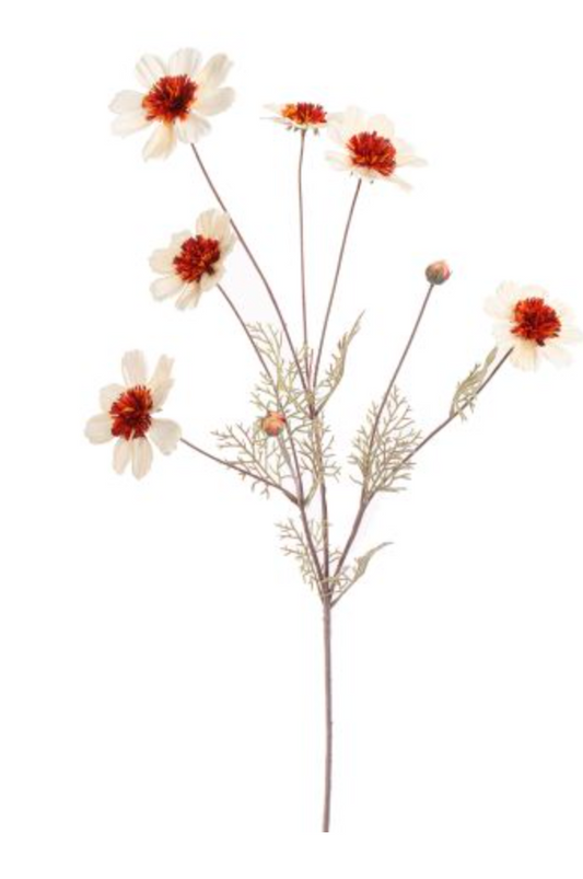 COSMOS SPRAY 92CM CREAM