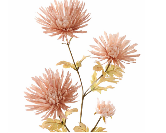 SPIN GERBERA 65CM BEIGE