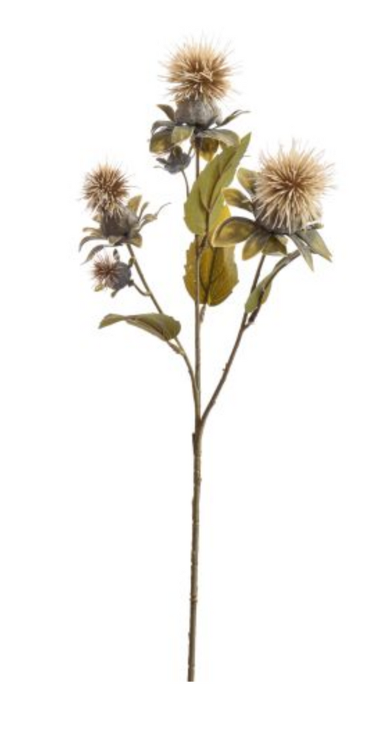 THISTLE SPRAY X3 60CM VANILLE