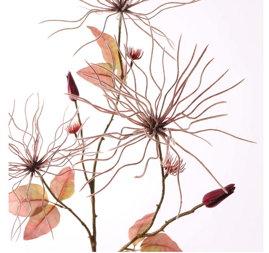 WILDE CLEMATIS 75CM BURGUNDY
