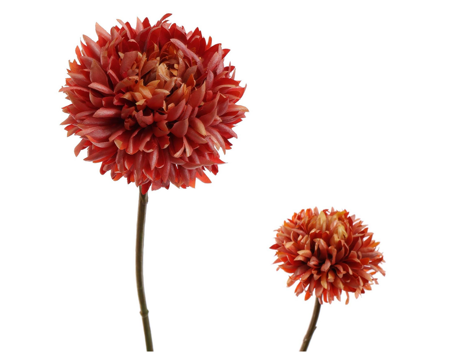 BALCHRYSANT 80CM ORANJE