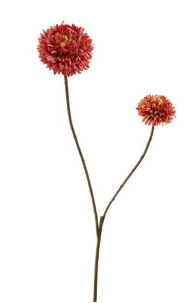 BALCHRYSANT 80CM ORANJE