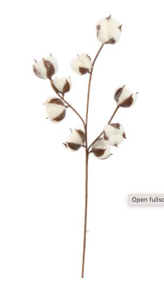 COTTON BRANCH 65CM WHITE