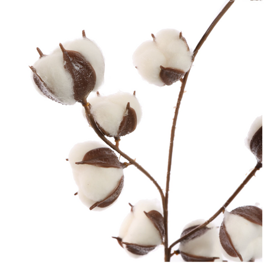 COTTON BRANCH 65CM WHITE