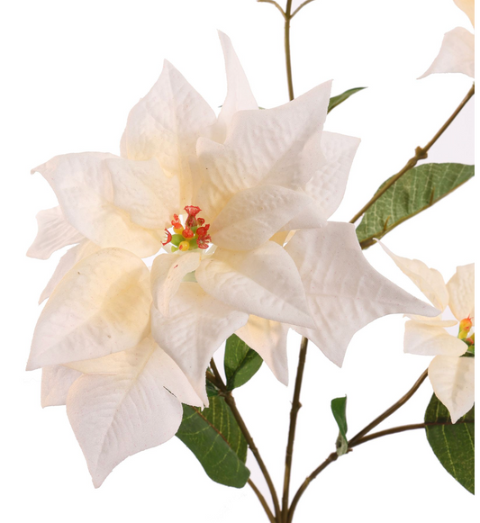 POINSETTIA SPRAY 65CM CREAM