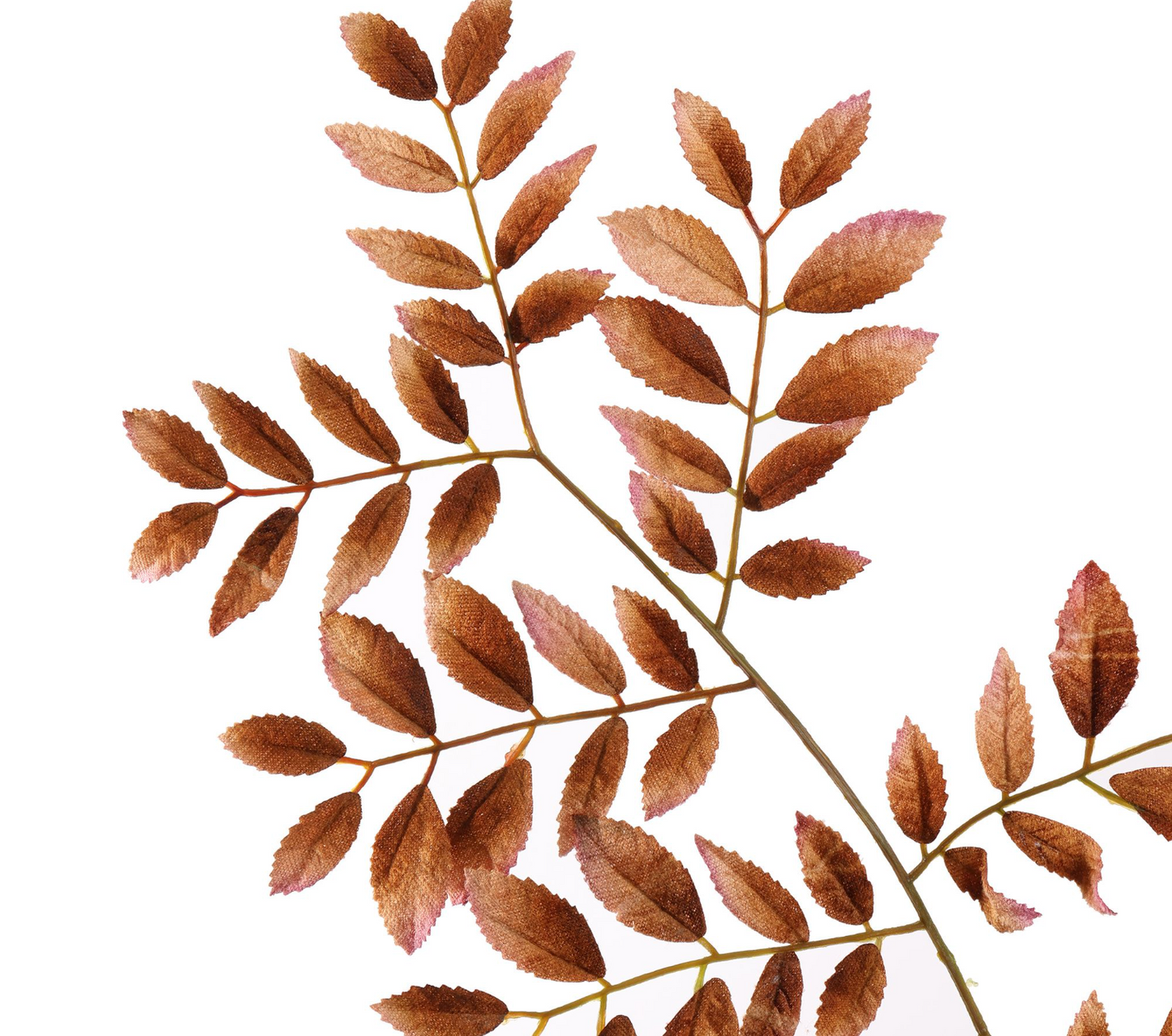 BEGONIA LEAF 96CM BROWN