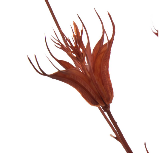 DRIED FLOWER BRANCH 80CM ORANGE