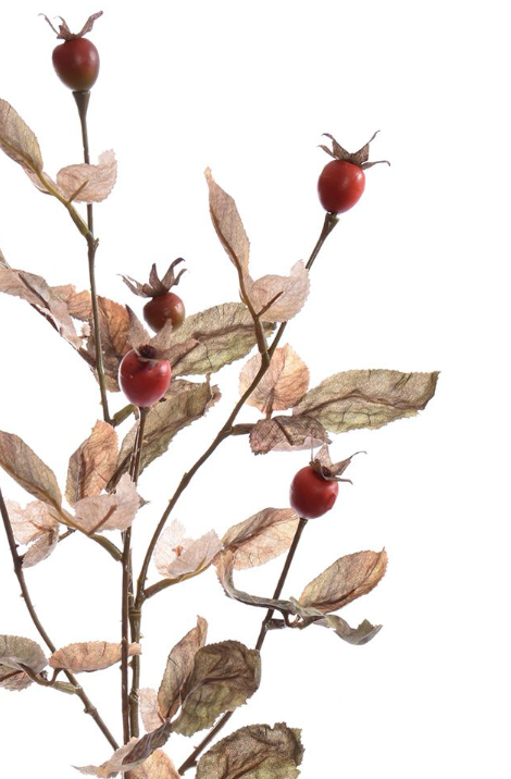 ROSEHIPS SPRAY X5 85CM DRY GREEN