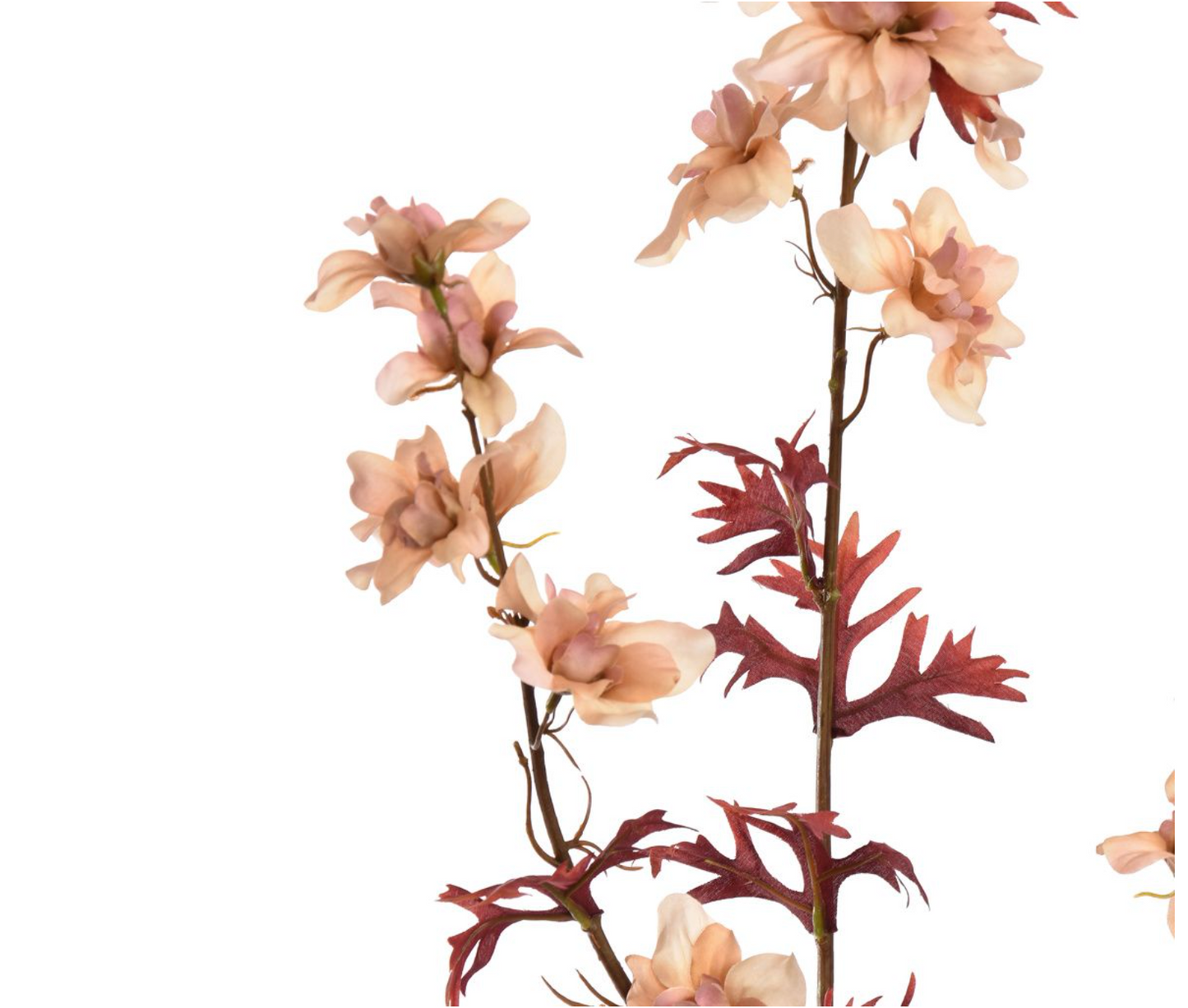 DELPHINIUM 95CM PEACH