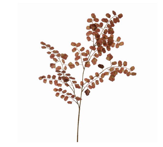 SELDERIJ BLAD 98CM BRUIN
